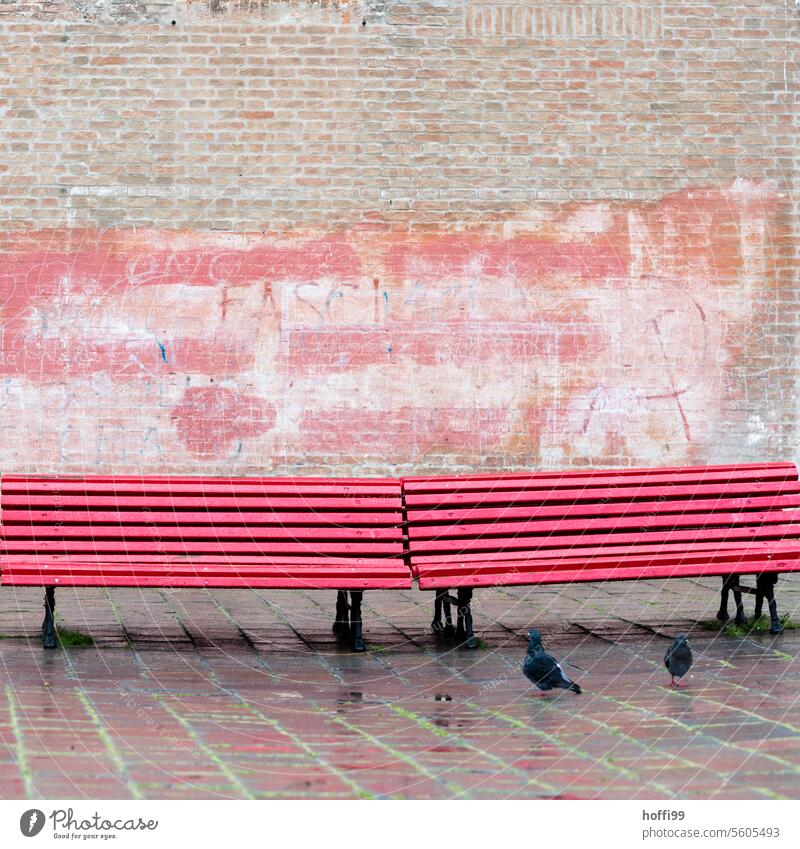zwei rote Bänke vor einer Mauer in der Altstadt - zwei Tauben im Vordergrund bleiben im Bild Bank rote Bank Sitzgelegenheit regnerisches Wetter Holzbank