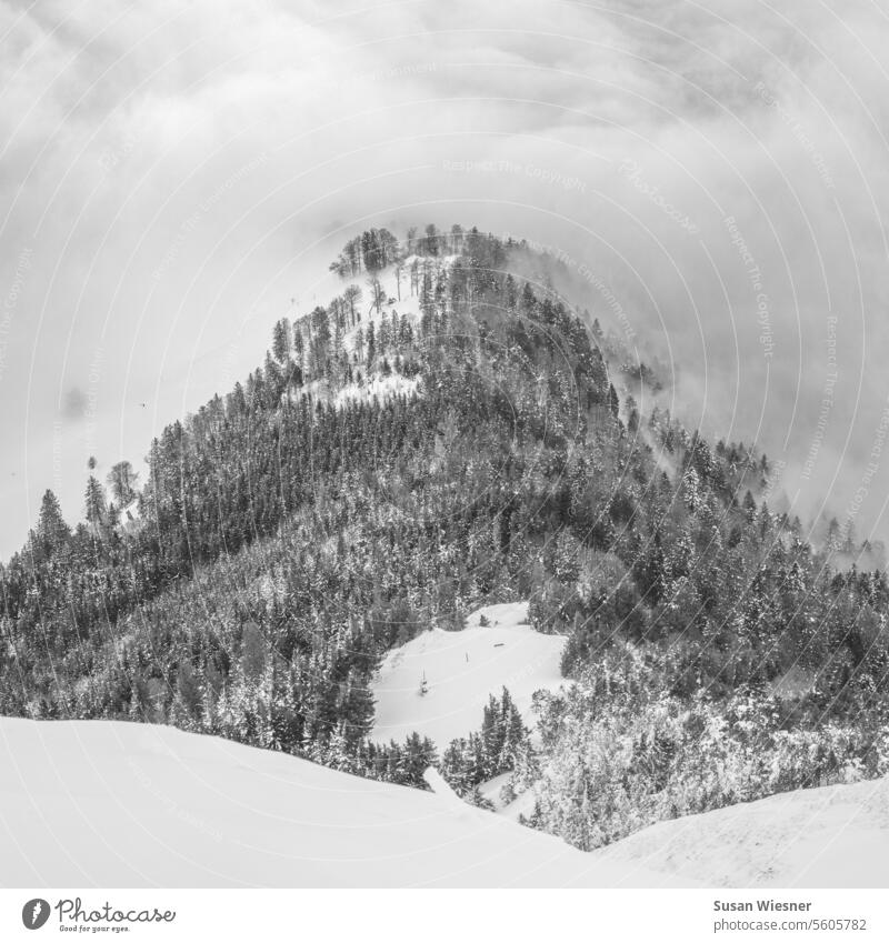Bewaldeter Berg mit Schnee halb in den Wolken - schwarz-weiss bewaldeter Hügel Schneelandschaft Nebelschleier Nebelstimmung Außenaufnahme
