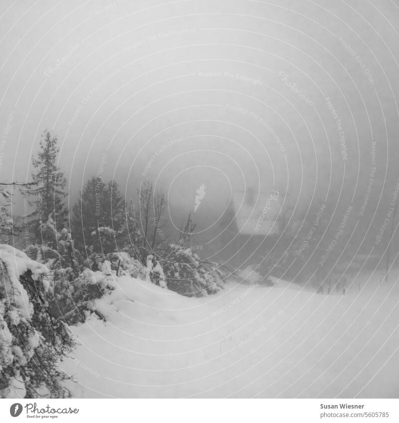 Winterlandschaft mit Schnee, Bäumen und Haus im Nebel. grauer Wintertag verschneite Bäume düster