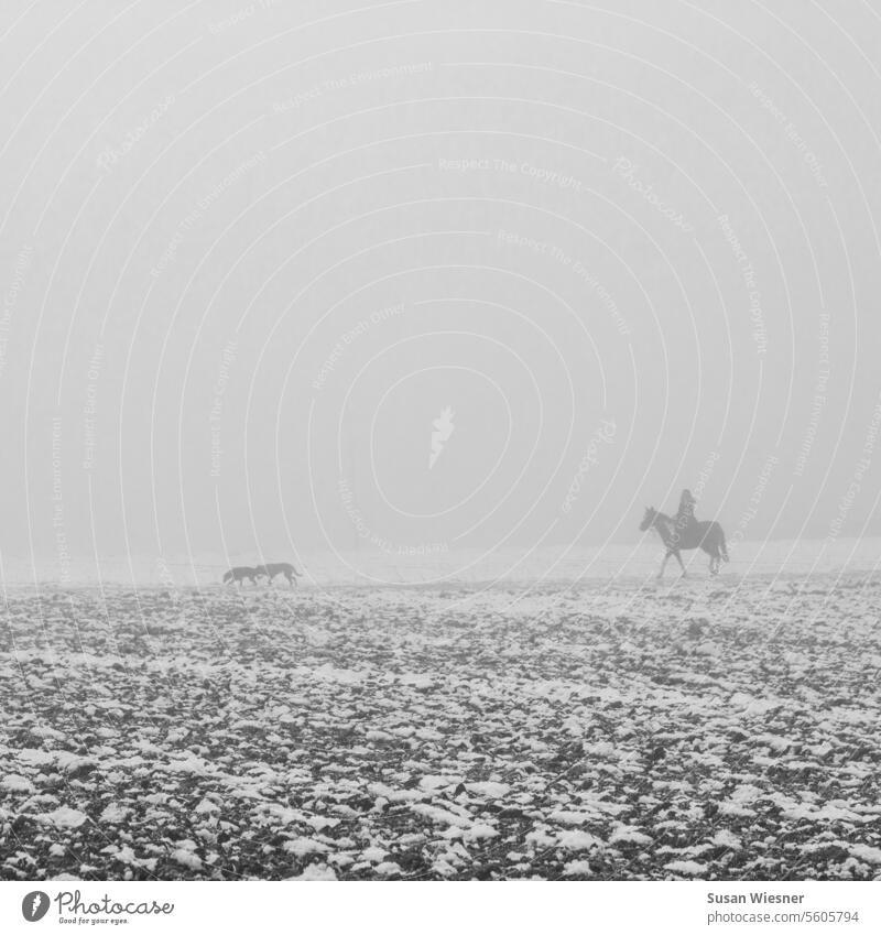 Reiter im Nebel mit zwei Hunden in leicht verschneiter Landschaft - schwarz-weiss Nebelstimmung Neblige Landschaft neblig verschneite Landschaft Feld mit Schnee