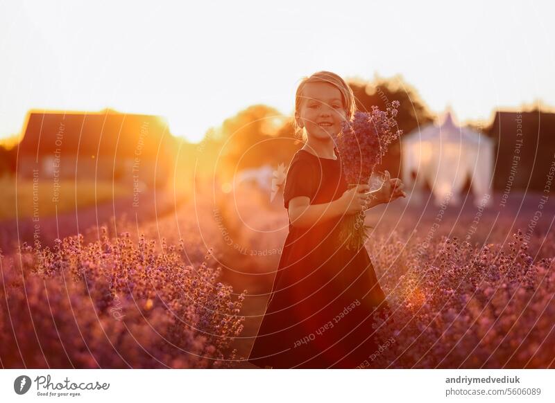 niedlichen Mädchen mit einem Strauß Lavendelblüten in ihren Händen ist in Lavendelfeld auf Sonnenuntergang Licht zu Fuß. Kind in schwarzem Kleid hat Spaß an der Natur auf Sommerurlaub Urlaub.