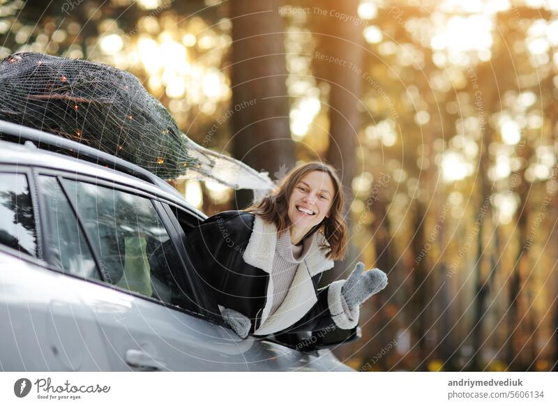 Glückliche Frau lehnt sich aus dem Autofenster mit einem beleuchteten Weihnachtsbaum auf einem Dach. Konzept der Neujahrsvorbereitung. Idee des Märchens und festliche Stimmung im Winter. Winterurlaub Reisen