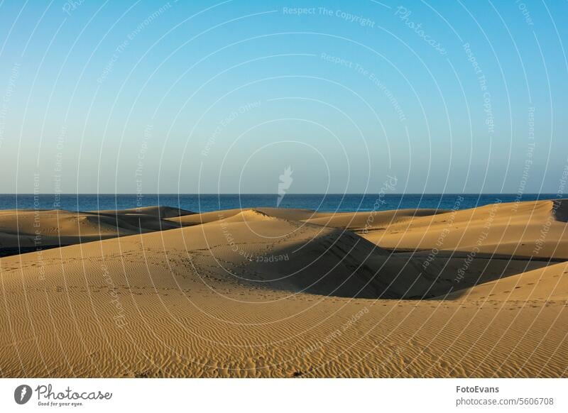 Sanddünen mit Blick auf das Meer Horizont Maspalomas trocknen endlos Natur Gran Canaria Hintergrund MEER Morgen Düne Strand Spanien Urlaubsort Morgenlicht