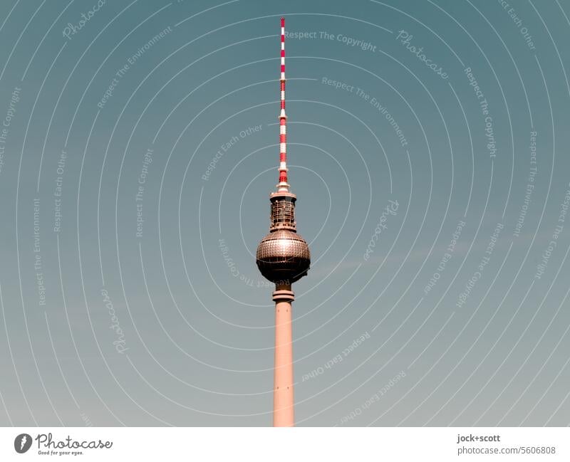Und täglich grüßt der Fernsehturm Berliner Fernsehturm Wahrzeichen Berlin-Mitte Sehenswürdigkeit Himmel Wolkenloser Himmel Hintergrund neutral Hintergrundbild