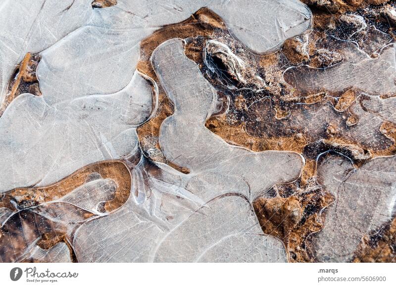 Vereiste Pfütze Eis Strukturen & Formen Muster gefroren kalt Frost Winter Wasser natürlich abstrakt bizarr frieren Detailaufnahme Natur Eisfläche erstarren