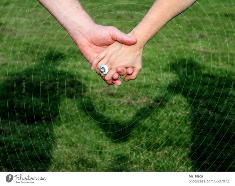 Händchenhalten Zusammensein Paar Partnerschaft Liebe Liebespaar Gefühle Verliebtheit Vertrauen Zuneigung harmonisch zusammengehörig Schatten berühren