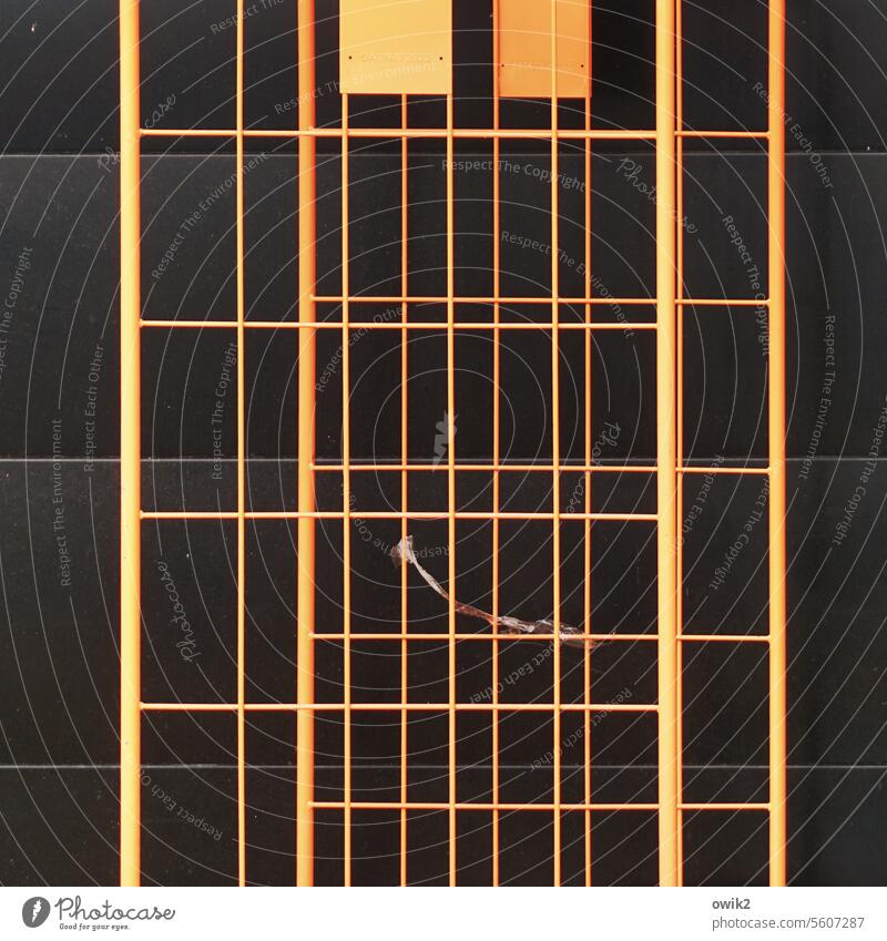 Vehikel Karren Gestell Gitter orange Kontrast schwarz Metall Detailaufnahme Wand Kontor Menschenleer Außenaufnahme Strukturen & Formen Farbfoto abstrakt