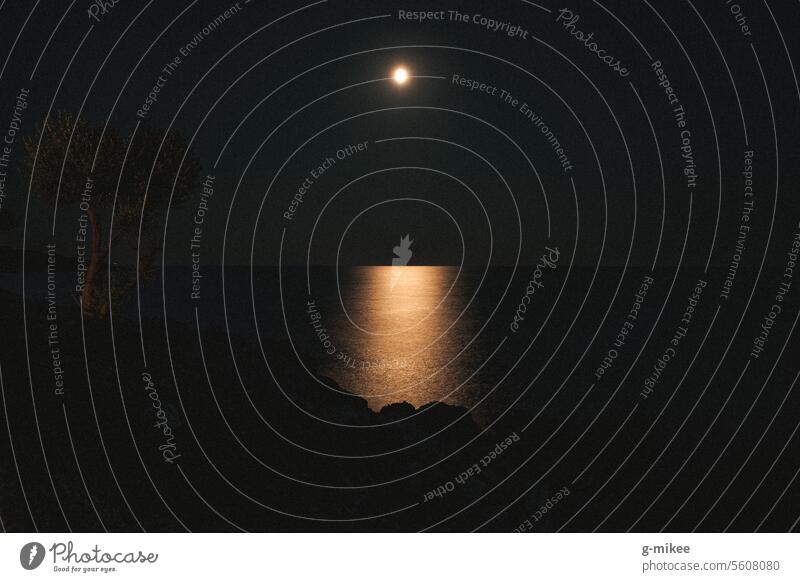 Reflektion des Mondes im Wasser See Meer Mondschein Mondlicht Spiegelung Nacht Einsamkeit Dunkelheit Natur