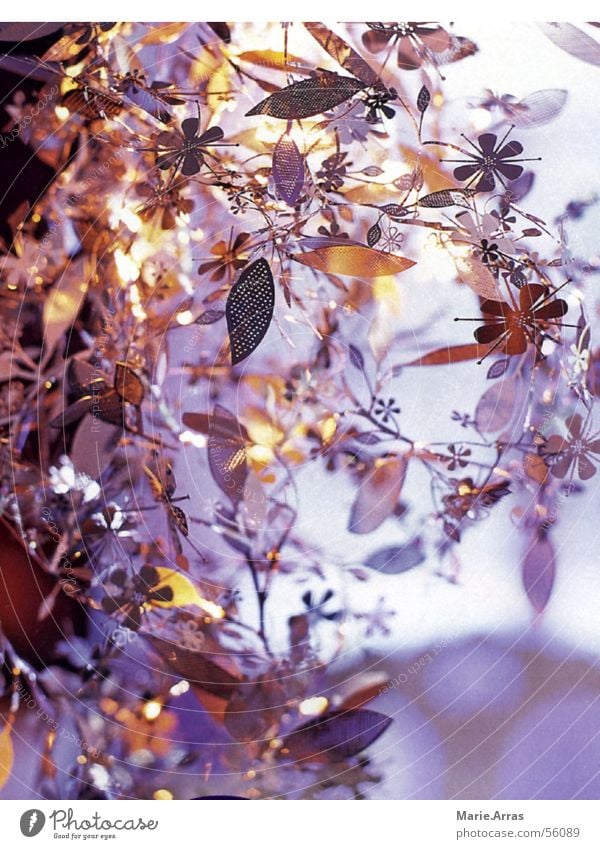 Blumen-Leuchte Lampe Licht grau Blüte glänzend silber