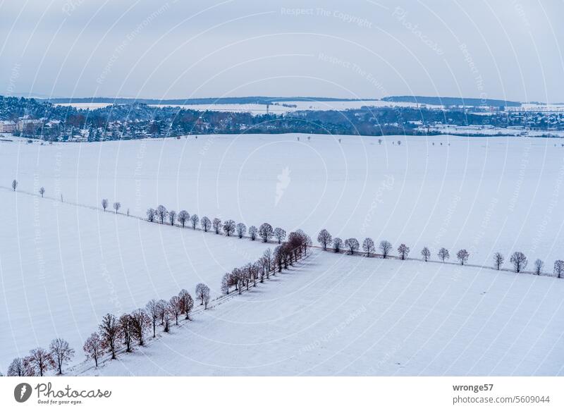 Verschneite Winterlandschaft mit sich kreuzenden Feldwegen und einem Dorf am oberen Bildrand Schneelandschaft Winterstimmung Wintertag kalt weiß Landschaft