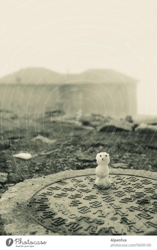 Schneemännchen schneemännchen Schneemann Winter kalt weiß Jahreszeiten Außenaufnahme Frost Natur gefroren Kindheit Nebel neblig nebliger Tag Wetter im Freien