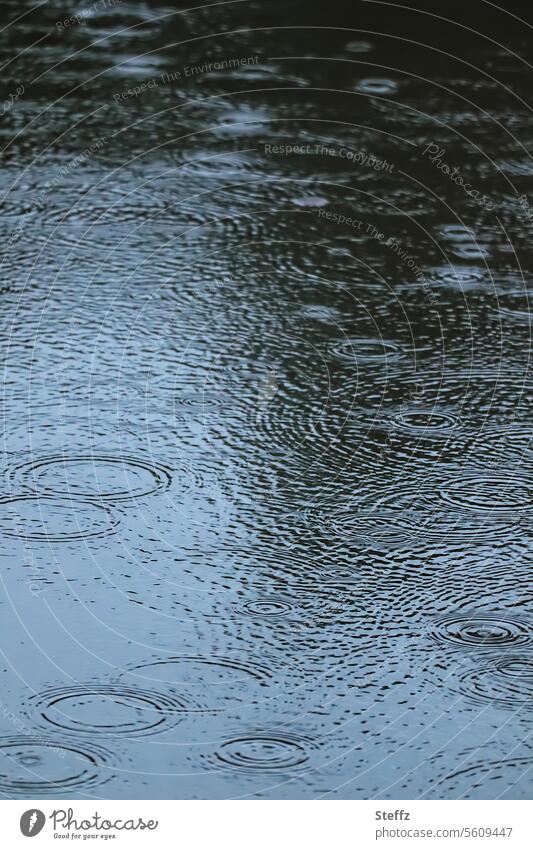 es regnet am See Schittwetter Regen Wasser Teich Ringe Kreise konzentrisch Ausdehnung ausbreiten Aufprall Wetter Klima Regenwetter Herbstwetter ausdehnen