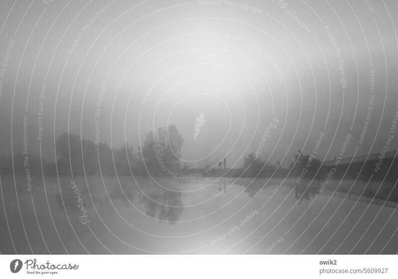 Grau glänzend Flusslandschaft still symmetrisch beruhigend Wasseroberfläche Wasserspiegelung schemenhaft windstill friedlich Nebel Morgennebel Donau Flussufer
