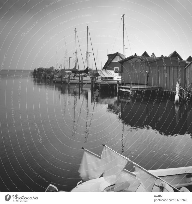 Boddenküste Ahrenshoop Althagen Saaler Bodden Hafen Ostsee Wasser Tag Panorama (Aussicht) Reflexion & Spiegelung friedlich Gelassenheit Idylle Anlegestelle