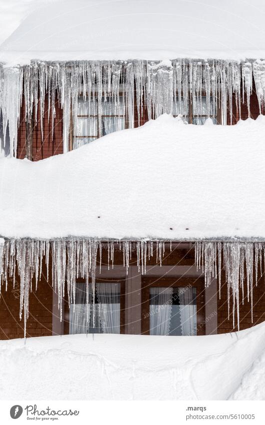 Frisch gezapftes Eis Eiszapfen Winter kalt gefroren Schnee frieren Frost Fenster Winterstimmung