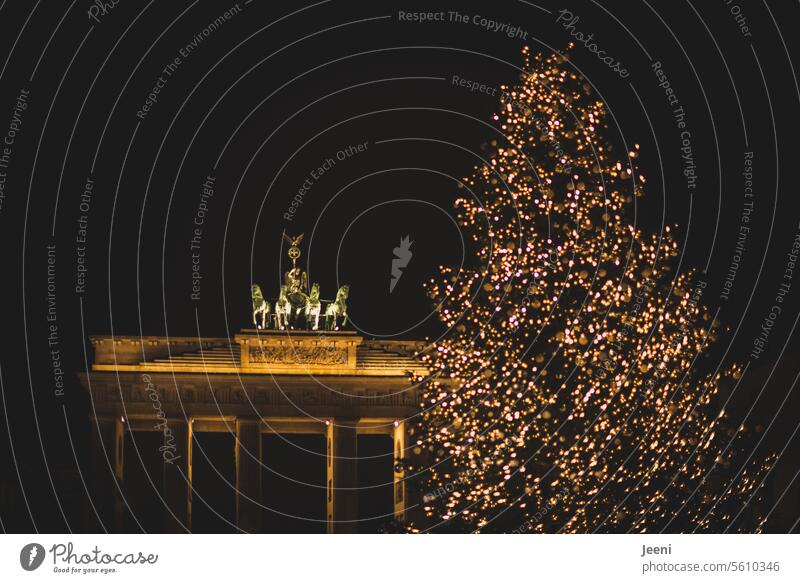 Berlin im Weihnachtszauber Nacht Hauptstadt Stimmung Licht Weihnachtsbaum Abend dunkel Weihnachten & Advent Quadriga Deutschland Sehenswürdigkeit Wahrzeichen