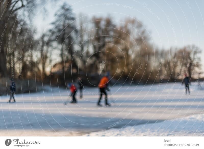 Schlittschuhwetter Menschen Jugendliche Eisfläche See Schnee Bewegung Spiel Spaß Freizeit & Hobby Wintersport Eishockey Sport Spielen Schlittschuhe Frost kalt