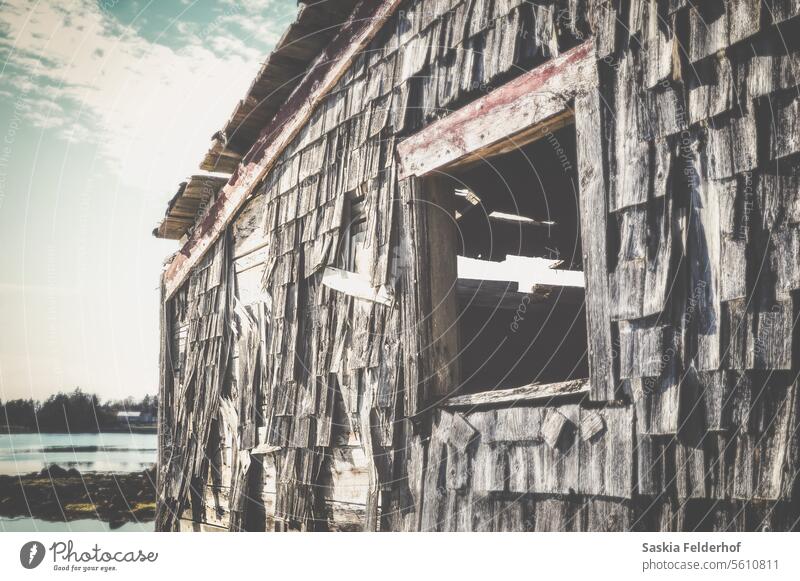 Verlassene Hütte Bruchbude Kabine Schindeln abgenutzt verwittert grau Gebäude Struktur Verwesung vergessen Vernachlässigung historisch Fenster Ansicht ländlich