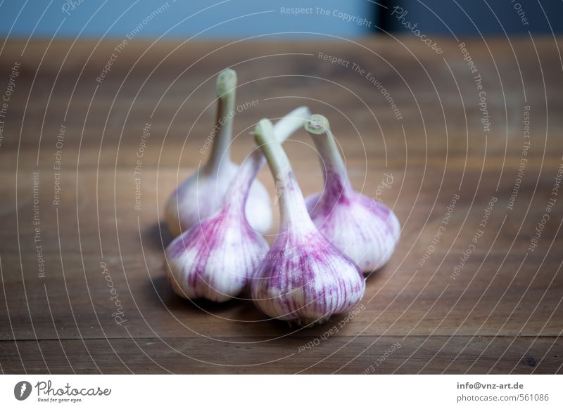 Garlic Lebensmittel Kräuter & Gewürze Ernährung Abendessen Bioprodukte braun violett Knoblauch Würzig Holz Holzbrett frisch Farbfoto Innenaufnahme Nahaufnahme