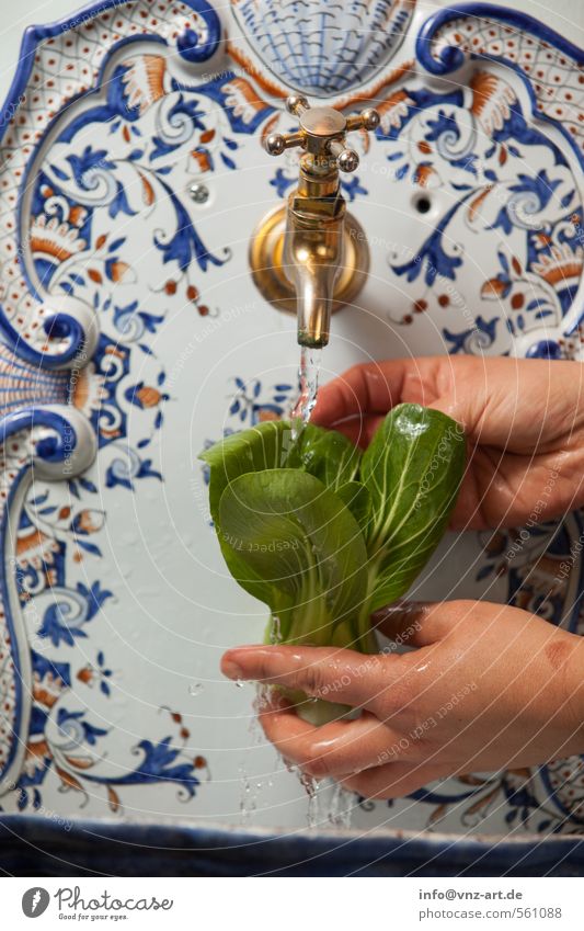 Waschen Lebensmittel Gemüse Salat Salatbeilage Ernährung Bioprodukte Asiatische Küche Hand Sauberkeit Waschbecken Reinigen Wasserhahn Chinakohl Blatt Farbfoto