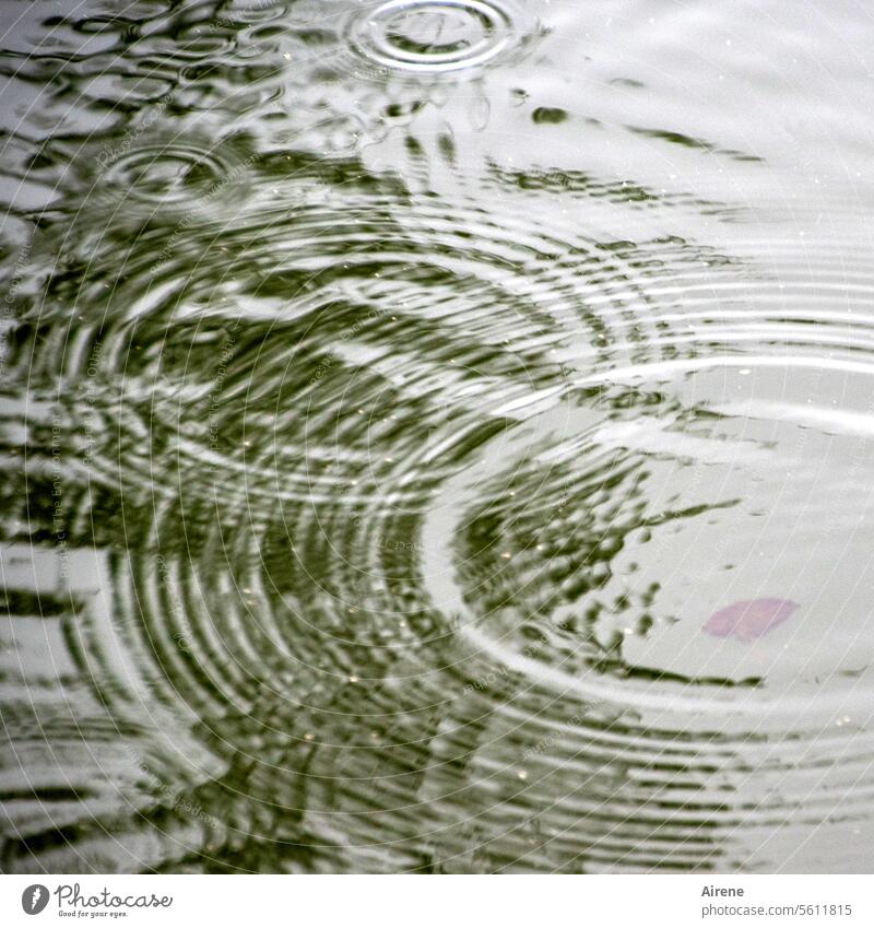 Herbstzeit | wenn das Wetter Kreise zieht Wasser Wellen ausbreiten Muster konzentrisch See Teich Tropfen Urelemente Klima Strukturen & Formen Bewegung Regen