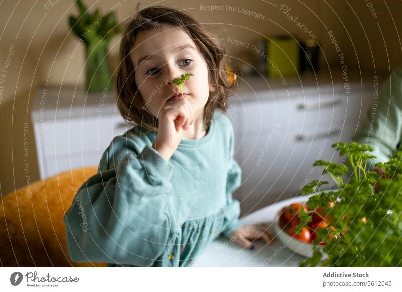 Grundschulkind riecht Kräuter zu Hause Mädchen riechend Koriander Wegsehen niedlich Porträt vorbereitend Salatbeilage heimwärts Kraut organisch unschuldig