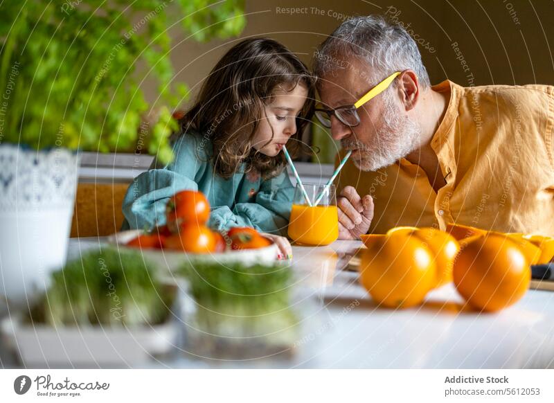 Älterer Mann und Mädchen trinken Fruchtsaft auf einem Tisch Großvater Enkelin orange Saft Stroh Glas Teilen Senior niedlich Familie heimwärts Selektiver Fokus