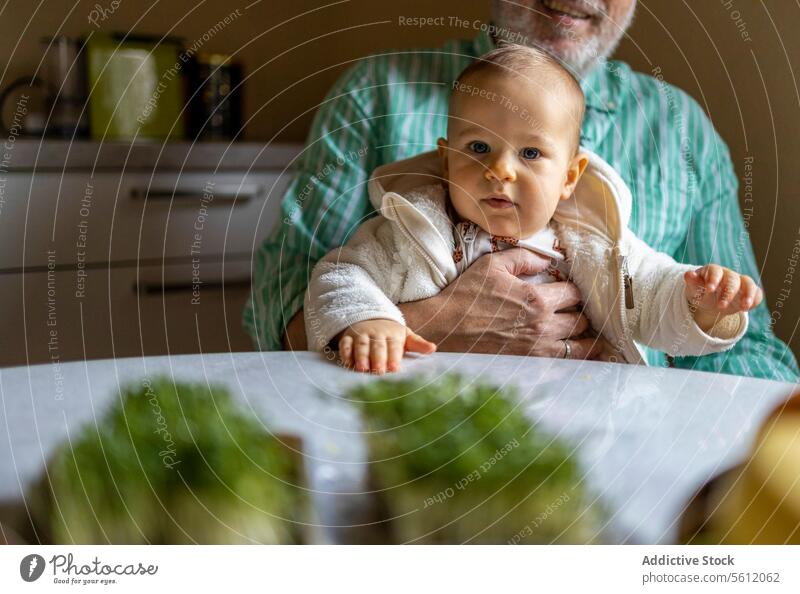 Großvater mit süßem Kleinkind am Tisch Enkel niedlich Ernte anonym Baby Junge Senior Porträt heimwärts Mann älter Sitzen Kaukasier Menschen Lifestyle heimisch