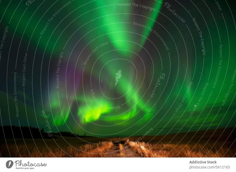 Majestätische Polarlichter über der isländischen Landschaft Nordlicht Island Nachthimmel Naturwunder grün purpur Erscheinung kosmisch atmosphärisch