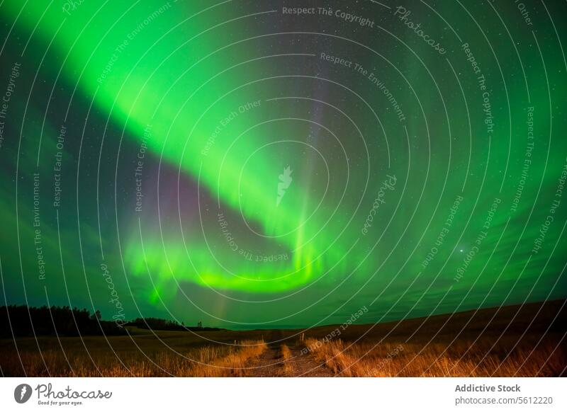 Aurora Borealis erhellt den Nachthimmel in Island Nordlicht grün Illumination Naturphänomene Landschaft ländlich malerisch Schönheit himmlisch Nachtzeit Lichter