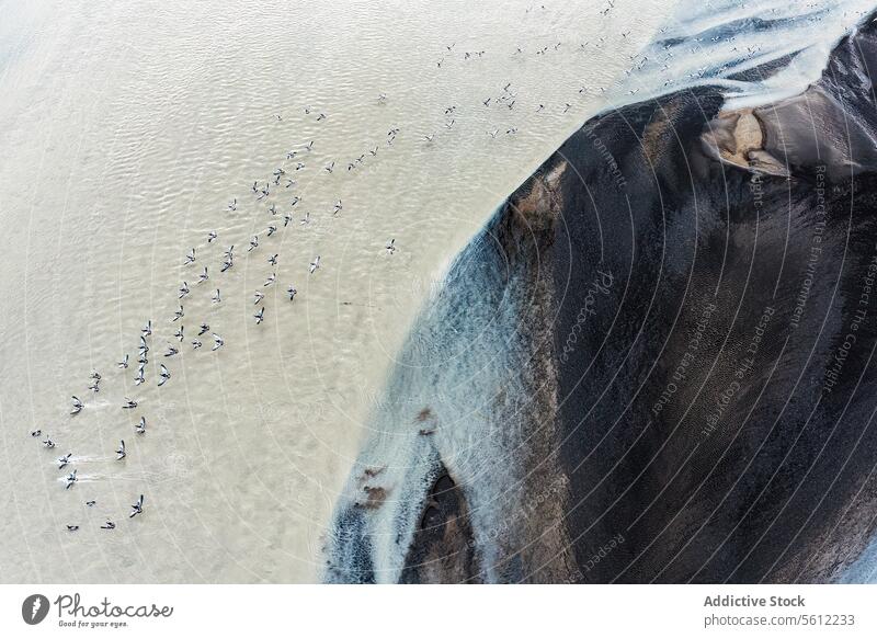Luftaufnahme der isländischen Flusseinzugsgebiete in abstrakten Mustern Island Becken Wasser vulkanisch Gelände Landschaft Natur Geologie natürliche Schönheit