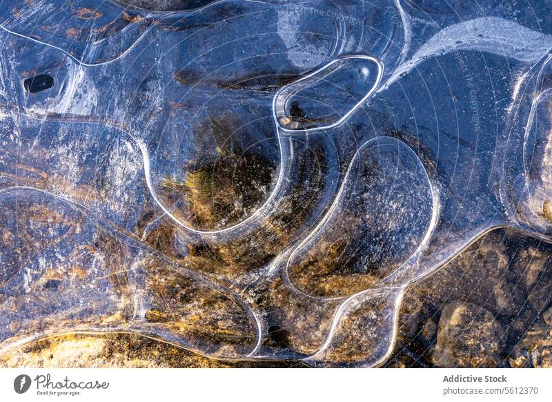 Verschlungene Eismuster auf gefrorener Oberfläche Muster Winter kalt Textur Detailaufnahme Nahaufnahme Natur Hintergrund durchsichtig Opazität kompliziert