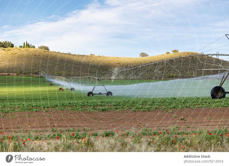 Bewässerungssystem bewässert landwirtschaftliches Feld unter blauem Himmel Ackerbau System Ernte üppig (Wuchs) Hügel Hintergrund Landwirtschaft Landschaft