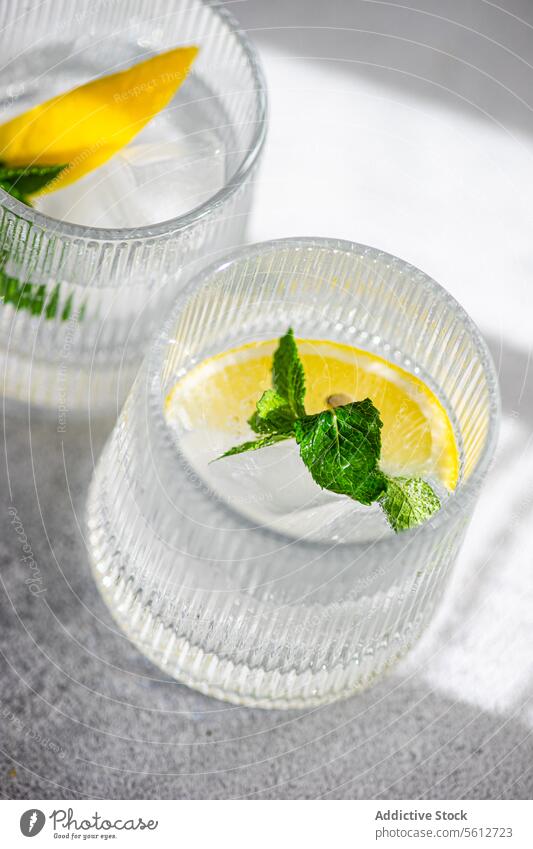Erfrischender Gin Tonic mit Zitrone und Minze trinken Cocktail Alkohol Getränk Erfrischung Glas Eis Scheibe Zweig Schatten Textur übersichtlich Kristalle dienen