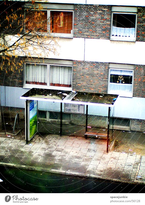 Bushaltestelle Haus Fenster Gardine Hochhaus Baum dreckig Asphalt Müll Einsamkeit Wasser
