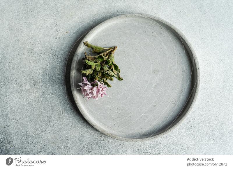 Minimalistische Küche vor einem strukturierten Hintergrund Teller Lebensmittel minimalistisch Keramik grau texturiert Oberfläche Präsentation einfach elegant