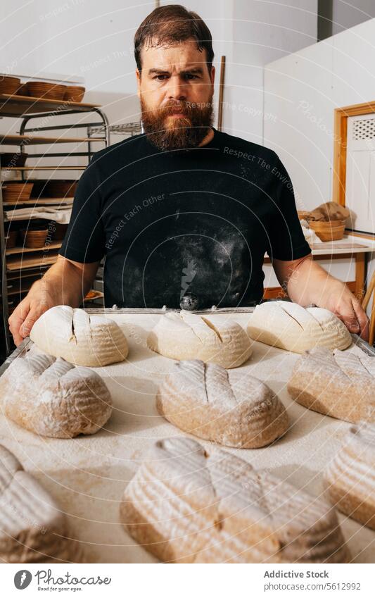 Selbstbewusster Mann mit Teig in einem Tablett in einer Bäckerei ernst Teigwaren Brot backen Porträt selbstbewusst Freizeitkleidung Beteiligung ungekocht
