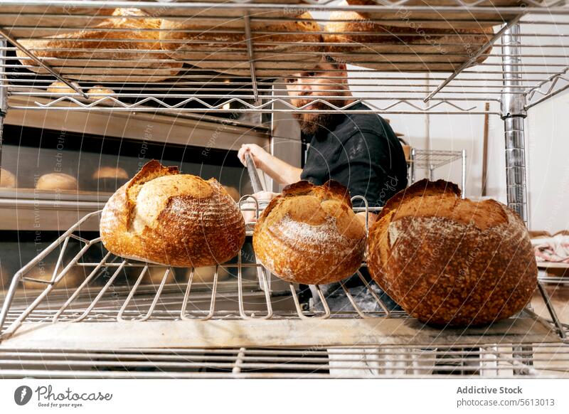 Bäcker nimmt Brot mit Metallschalen aus dem Ofen Brotlaib frisch Schulterblatt Küche Vollbart gekocht lecker Knusprig Kruste groß metallisch sich[Akk] schälen