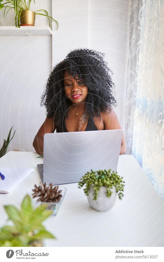 Selbstbewusste Frau mit drahtlosem Gadget Laptop Afro-Look Frisur Tisch selbstbewusst Pflanze Drahtlos Sitzen Apparatur Lifestyle heimwärts heimisch Buch