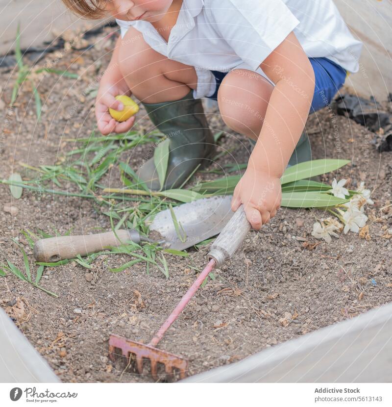 Anonymer kleiner Junge in Freizeitkleidung und Stiefeln, der bei der Gartenarbeit im Hinterhof eine Harke benutzt Beteiligung Frucht Boden Lernen Kelle Blatt