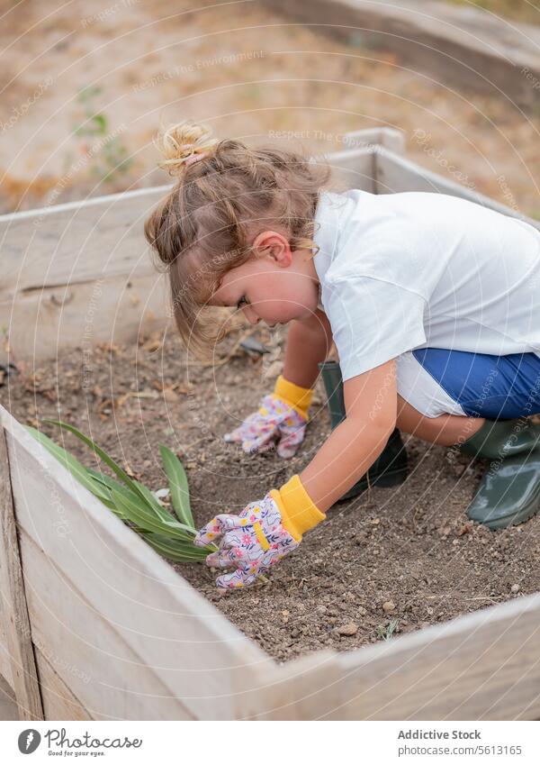 Hoher Winkel eines kleinen Jungen in Freizeitkleidung und Handschuhen, der bei der Gartenarbeit im Hinterhof Blätter aufnimmt Beteiligung Boden Lernen Blatt