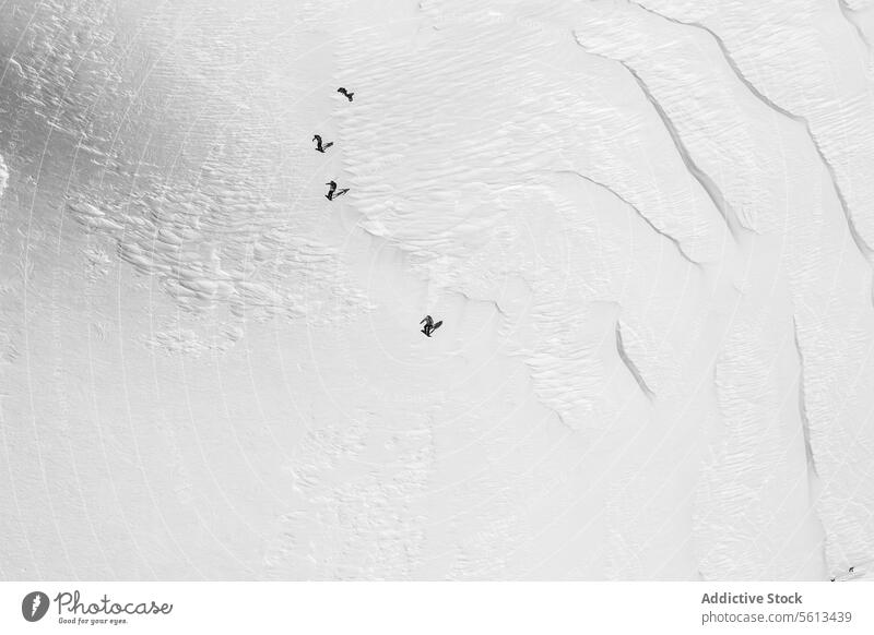 Menschen Snowboarding auf verschneiten Berg Mitfahrgelegenheit schneebedeckt Berge u. Gebirge Luftaufnahme unkenntlich Menschengruppe Snowboarder Schnee
