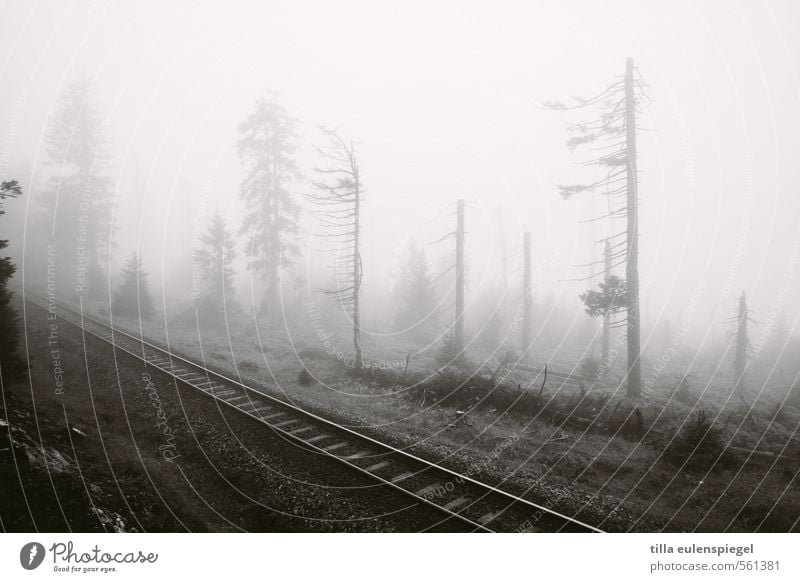 ghost Umwelt Natur Herbst Winter schlechtes Wetter Nebel Baum Wald Hügel Bahnfahren Schienenverkehr Eisenbahn Gleise Schienennetz bedrohlich dunkel kalt schwarz