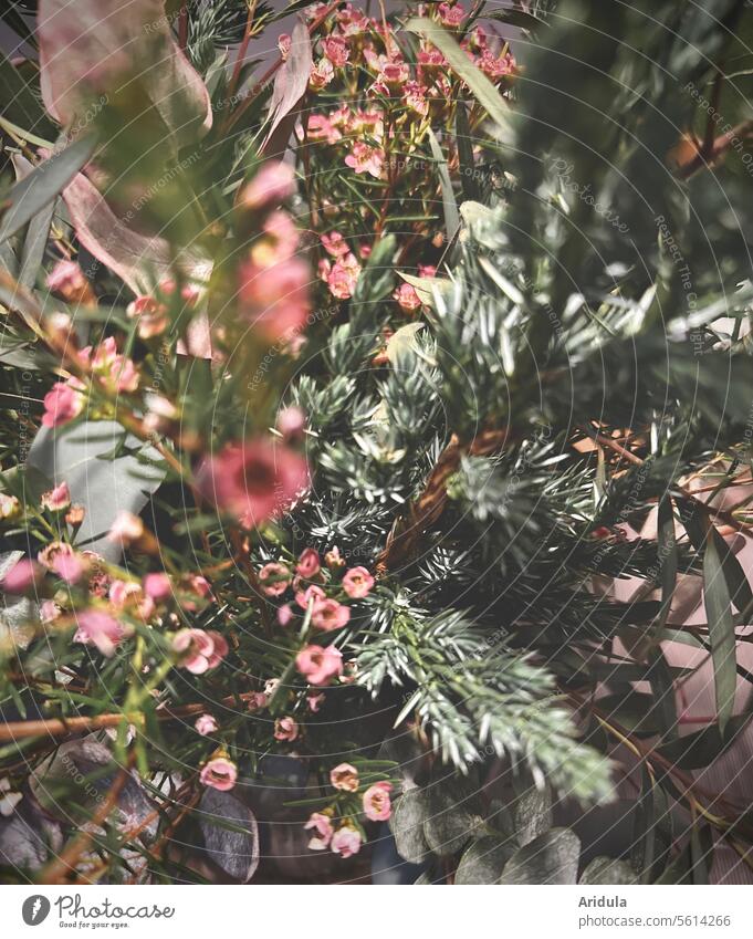 Winterlicher Blumenstrauß Detailaufnahme Licht Dekoration & Verzierung Tisch Wachblume Wacholder Eukalyptus grün Blätter Zweige Vase rosa altrosa