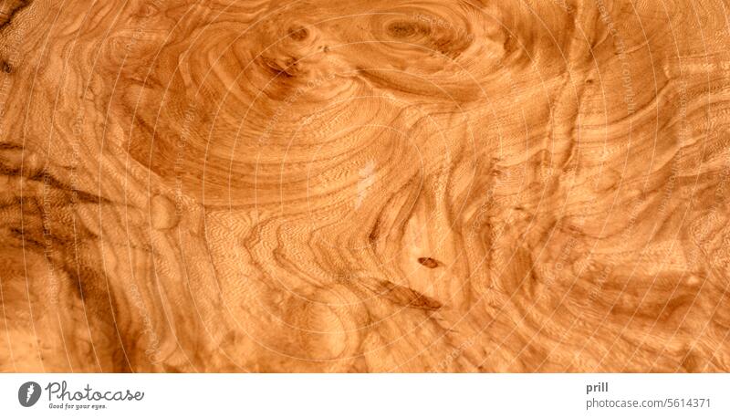 Genoppte Holzmaserung Holzfasern Muster Ordnung Wurzelholz voller Rahmen abstrakt lebhaft braun Wachstum Oberfläche regelwidrig Holzbearbeitung Jahresringe