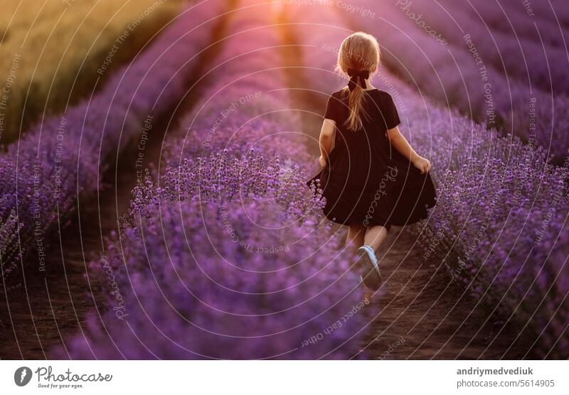 adorable Kind Mädchen ist in einem Feld von Lavendel auf Sonnenuntergang Licht zu Fuß. Kind in schwarzem Kleid hat Spaß an der Natur im Sommerurlaub. Rückansicht