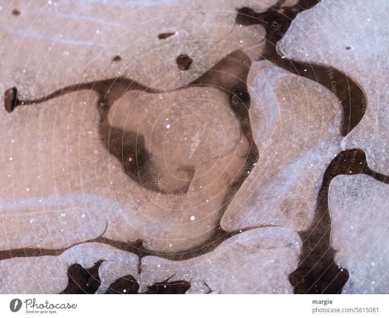 Vereiste Pfütze Eis Frost Winter kalt Menschenleer Wasser Außenaufnahme gefroren abstrakt Strukturen & Formen frieren phantasiegebilde Hund Ente Muster bizarr