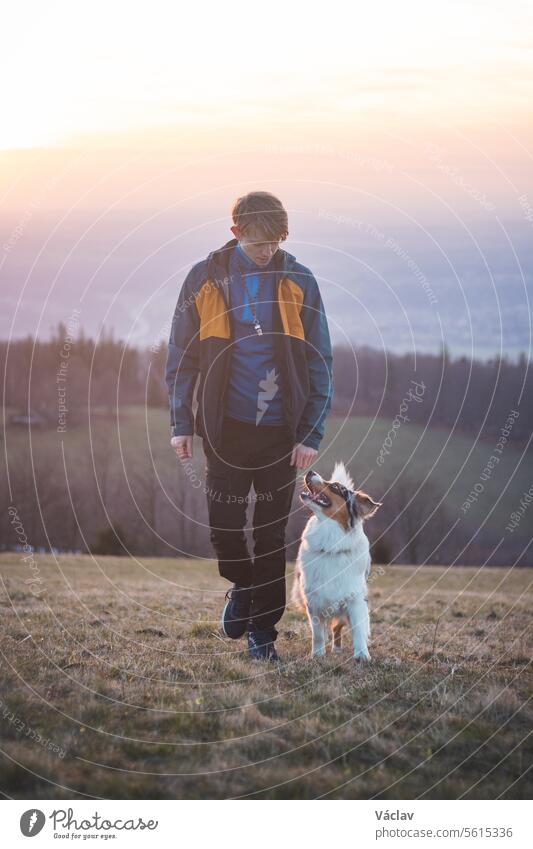 Die junge Kynologin, eine Hundetrainerin, bringt einem vierbeinigen Australian Shepherd mit Hilfe von Leckerlis die Grundkommandos bei. Liebe zwischen Hund und Mensch