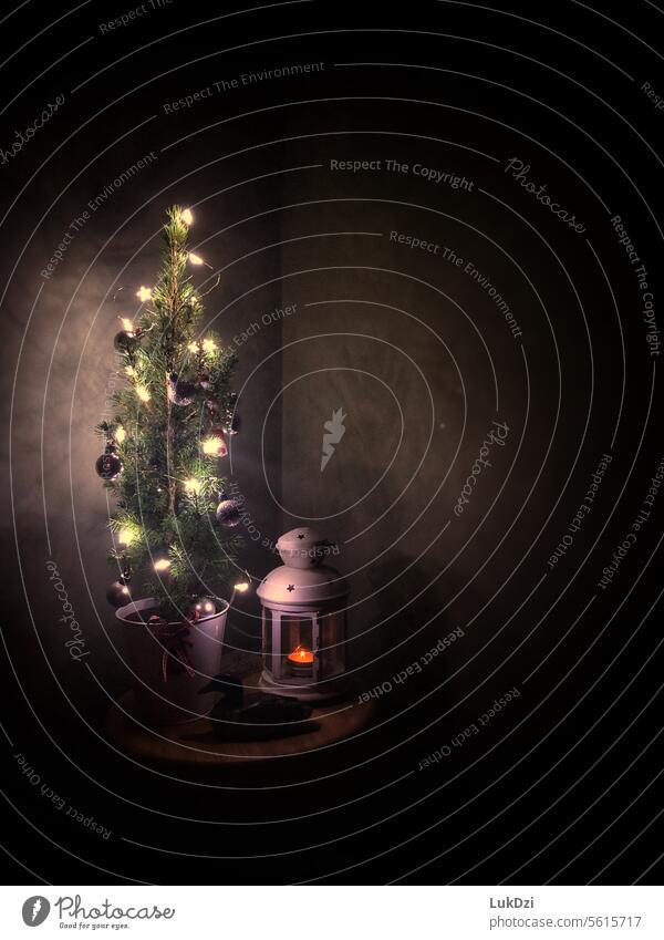 Kleiner Weihnachtsbaum mit Weihnachtsbeleuchtung vor dunklem Hintergrund Weihnachten Weihnachtsdekoration weihnachtlich Weihnachten & Advent Tanne Baum Farbe