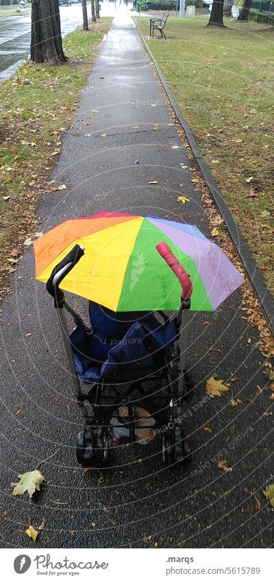 Regenschutz Wege & Pfade nass Regenwetter Kinderwagen Regenschirm bunt Blatt schlechtes Wetter Elternschaft spazieren Ausflug Schutz Herbst Schirm